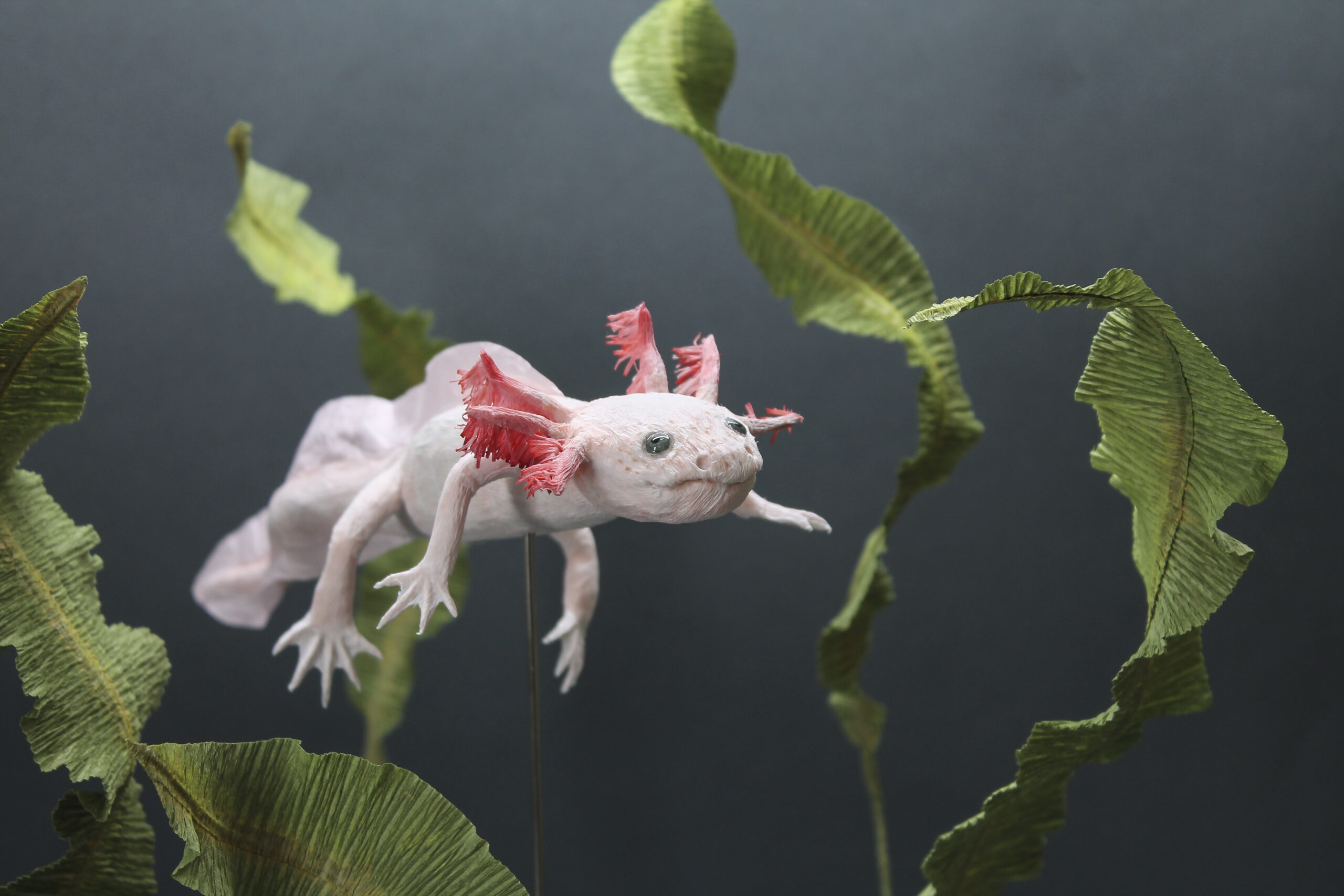 Paper Axolotl faltmanufakturTina Kraus