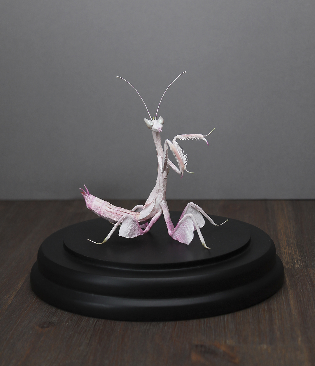 Orchid Mantis - faltmanufaktur-Tina Kraus Paper Insects